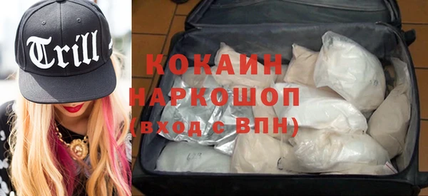 шишки Белоозёрский