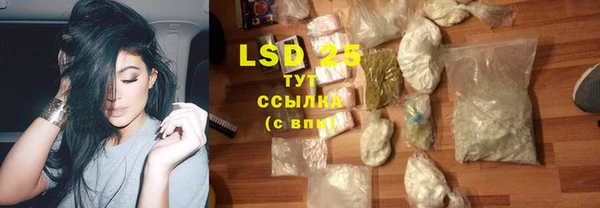 шишки Белоозёрский
