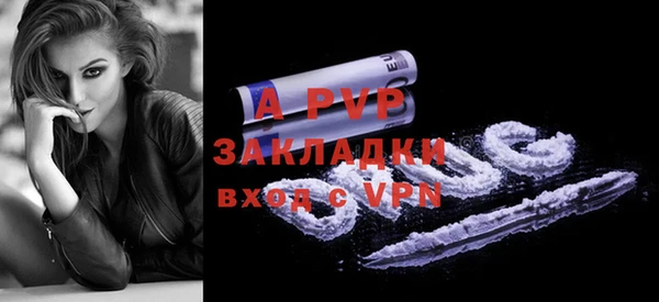 шишки Белоозёрский