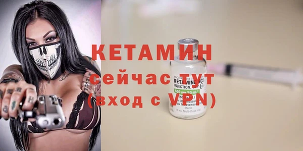 шишки Белоозёрский