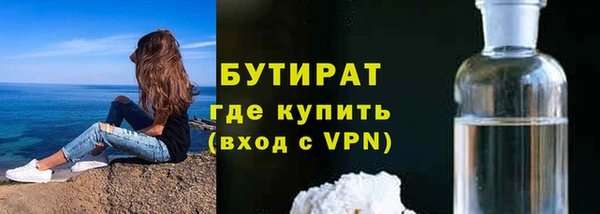шишки Белоозёрский