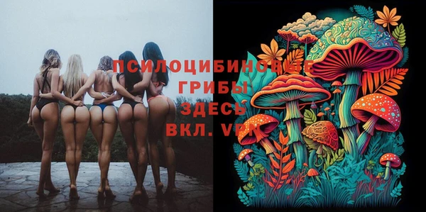 молекула духа Белокуриха
