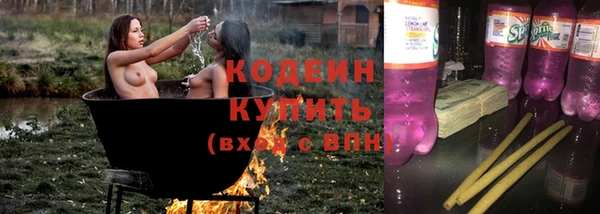 шишки Белоозёрский